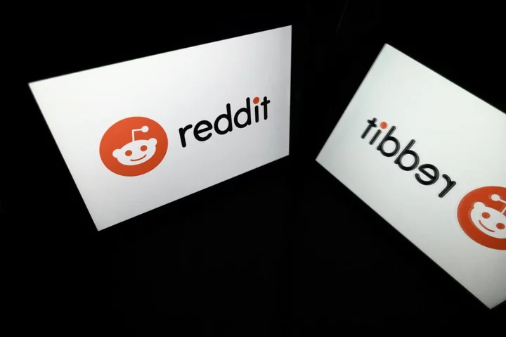 Reddit closes Place after obscene protests