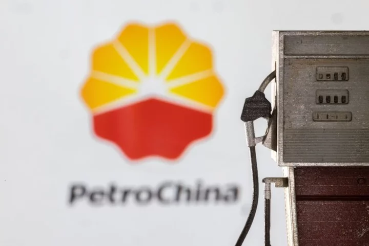 PetroChina buys EV charging firm Potevio New Energy