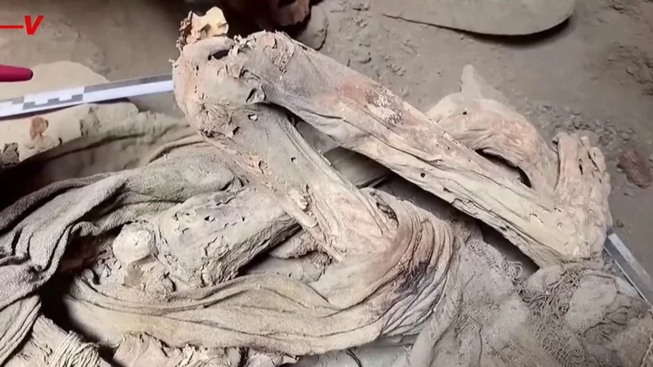 Scientists baffled by discovery of completely mummified man just 16 days after he was last seen alive