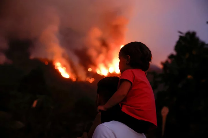 Mapped: Where are the wildfires in Tenerife?