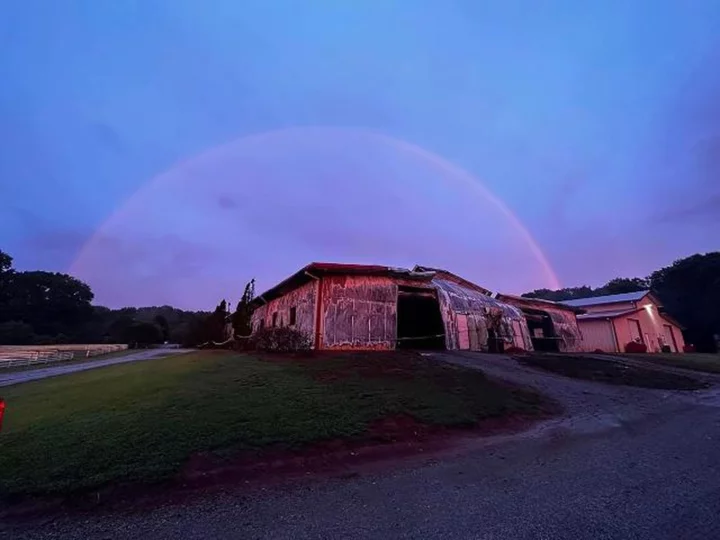 26 horses killed in Georgia barn blaze