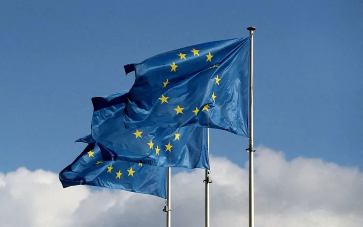 Ukraine's EU membership bid to be assessed in report due on Nov. 8