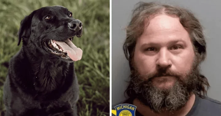 Who is Thomas Middaugh? Michigan man sentenced for fatally shooting and dismembering his neighbor's dog