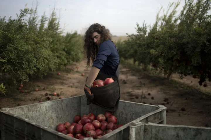 War plunged Israel’s agricultural heartlands into crisis, raising fears for its farming future