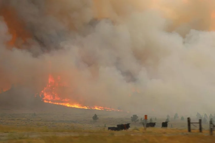 Montana youth ask judge for historic order in climate trial