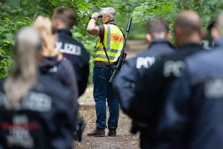 Mystery solved in hunt for Berlin’s ‘missing lioness’