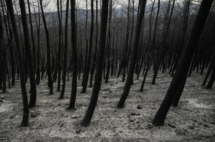 Greek fires continue to rage, as toll rises to 21