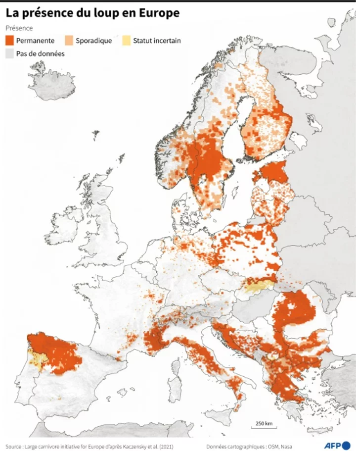 EU chief warns wolf packs 'real danger' in Europe